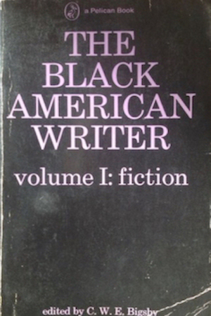 Book called: The Black American Writer (Volume 1)